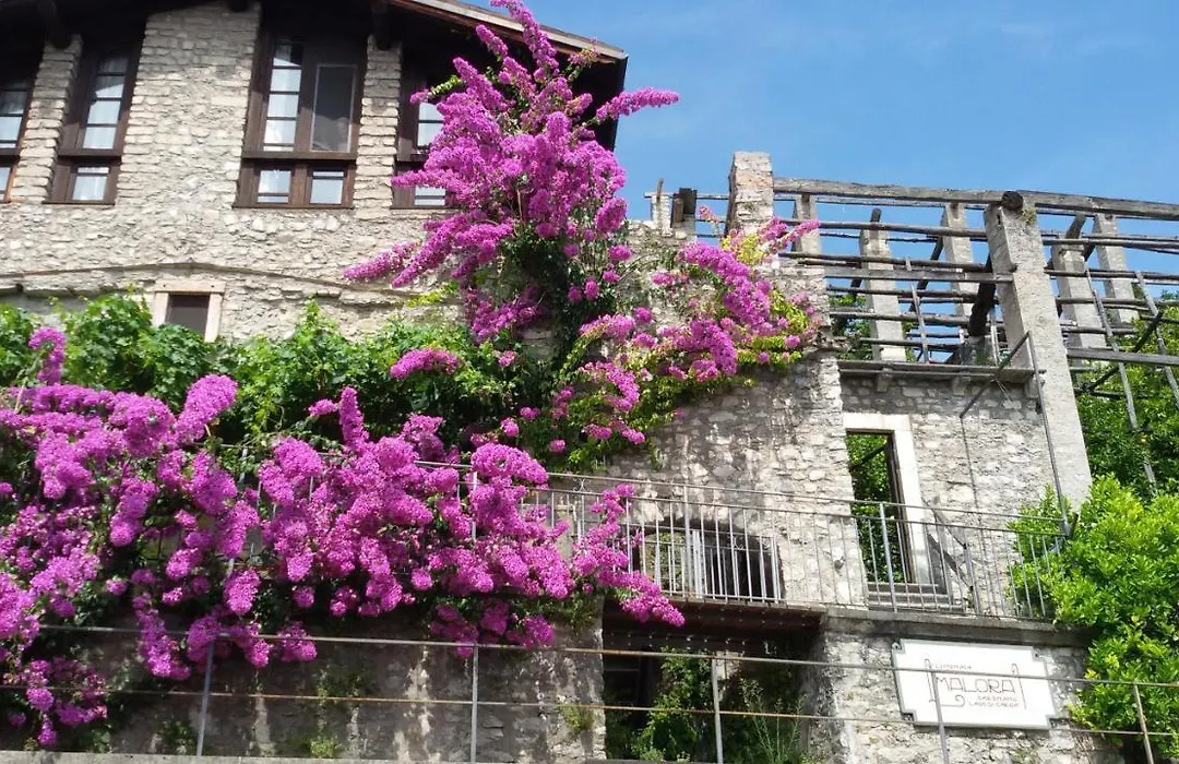 Hotel Garnì Bartabel-1
